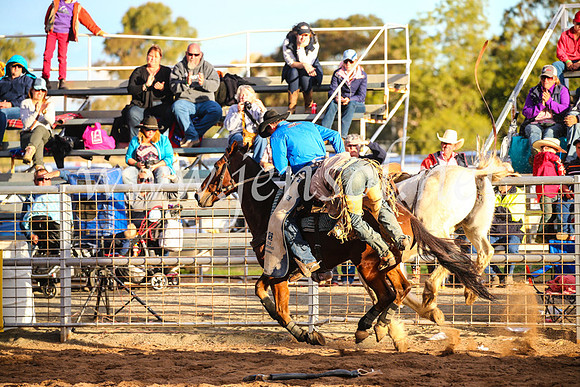 CoonambleRodeoCampdraftSun_5056