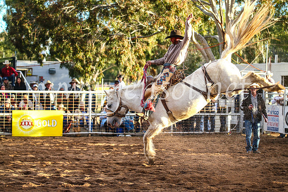 CoonambleRodeoCampdraftSun_5006