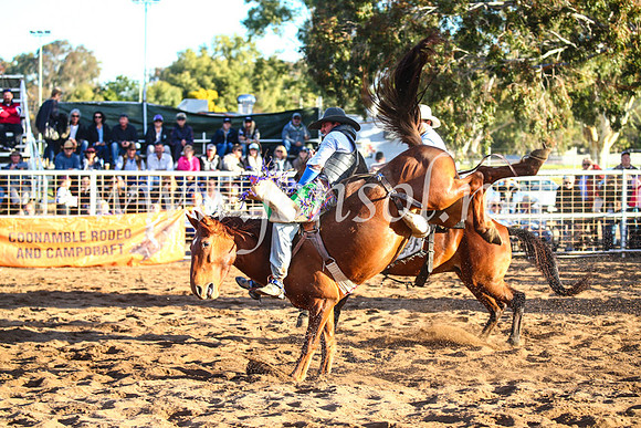 CoonambleRodeoCampdraftSun_4622