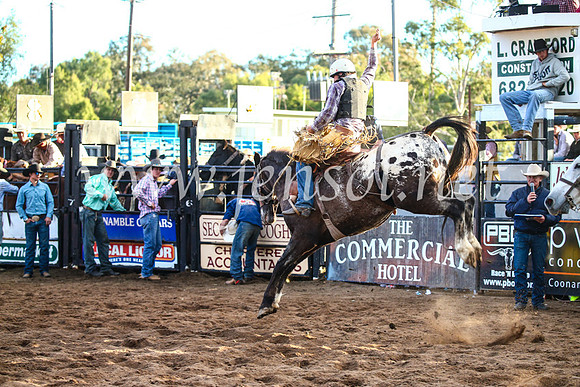 CoonambleRodeoCampdraftSun_4833