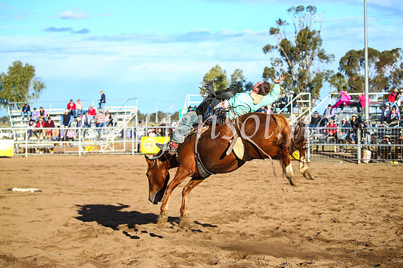 CoonambleRodeoCampdraftSun_4674