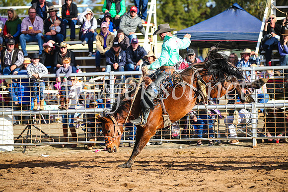 CoonambleRodeoCampdraftSun_4305