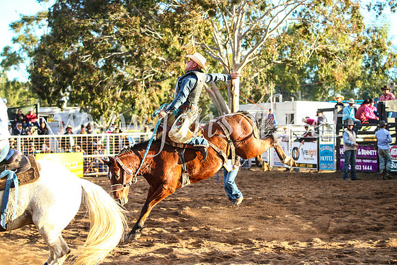 CoonambleRodeoCampdraftSun_4857