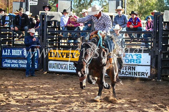 CoonambleRodeoCampdraftSun_4229