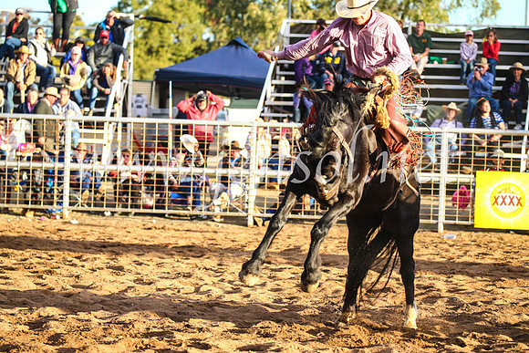 CoonambleRodeoCampdraftSun_4959