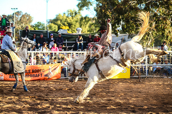 CoonambleRodeoCampdraftSun_5030