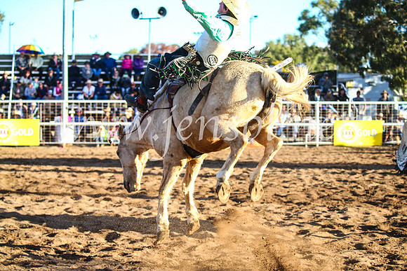 CoonambleRodeoCampdraftSun_4563