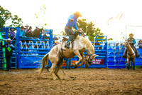 BraidwoodRodeo2017_3581