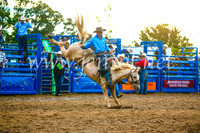 BraidwoodRodeo2017_3585
