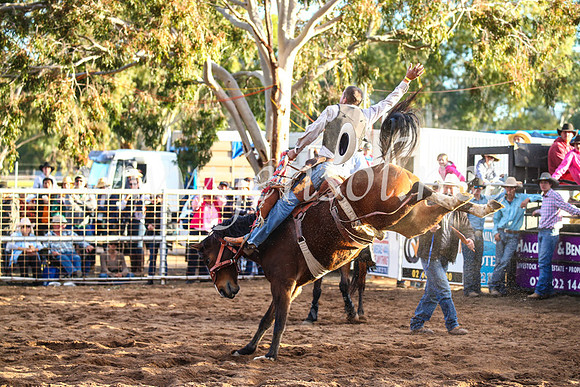 CoonambleRodeoCampdraftSun_4931