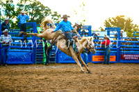 BraidwoodRodeo2017_3583