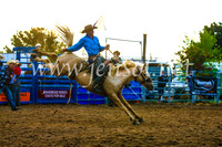 BraidwoodRodeo2017_3595