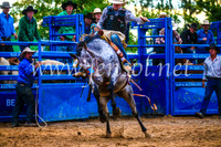 BraidwoodRodeo2017_3570