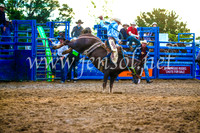 BraidwoodRodeo2017_3495