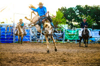 BraidwoodRodeo2017_3587
