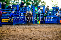 BraidwoodRodeo2017_3490