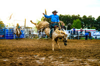 BraidwoodRodeo2017_3610