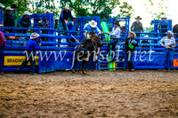 BraidwoodRodeo2017_3488
