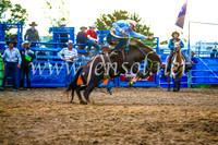 BraidwoodRodeo2017_3515