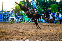 BraidwoodRodeo2017_3509