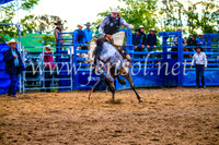 BraidwoodRodeo2017_3560