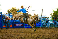 BraidwoodRodeo2017_3597