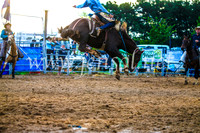 BraidwoodRodeo2017_3506