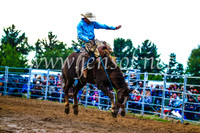 BraidwoodRodeo2017_3541