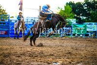 BraidwoodRodeo2017_3505