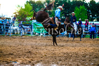 BraidwoodRodeo2017_3529