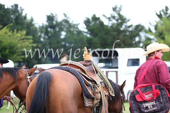 BraidwoodRodeo2017_0584