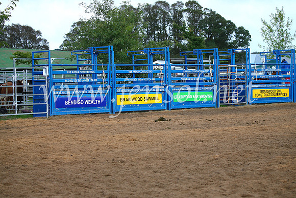 BraidwoodRodeo2017_0003