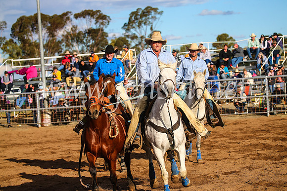 CoonambleRodeoCampdraftSun_4197
