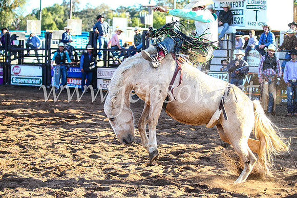 CoonambleRodeoCampdraftSun_4535