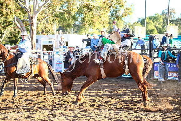 CoonambleRodeoCampdraftSun_4607