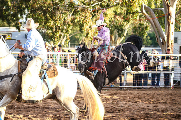 CoonambleRodeoCampdraftSun_4948