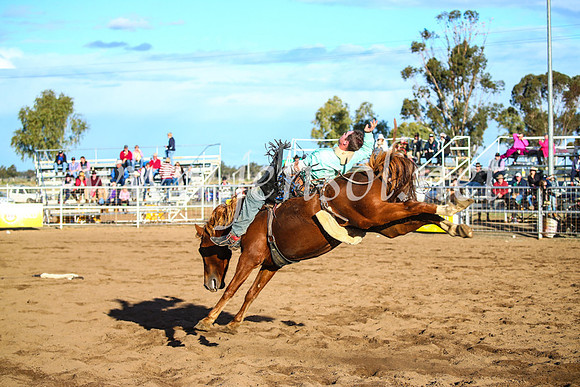 CoonambleRodeoCampdraftSun_4676