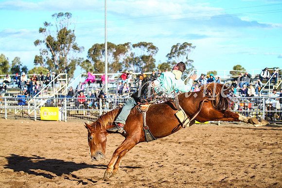 CoonambleRodeoCampdraftSun_4684