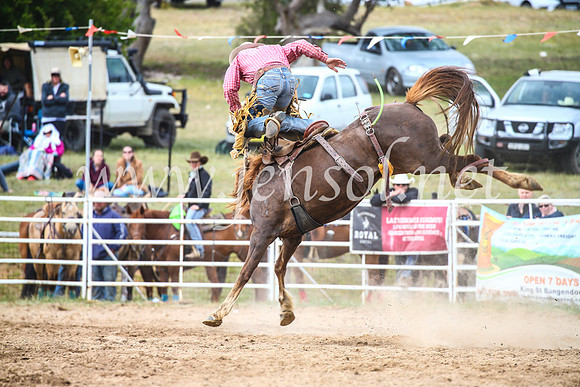 BungendoreRodeo2017_4903