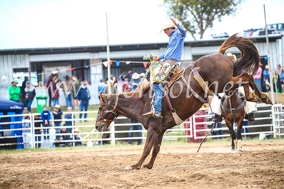BungendoreRodeo2017_4771