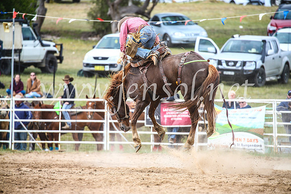 BungendoreRodeo2017_4883