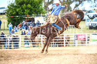 BungendoreRodeo2017_4759