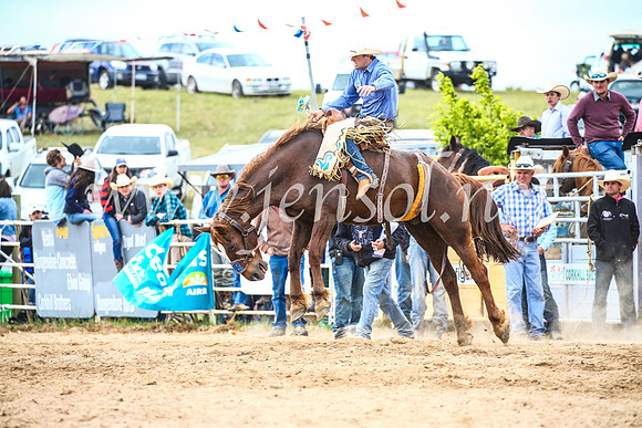 BungendoreRodeo2017_4731