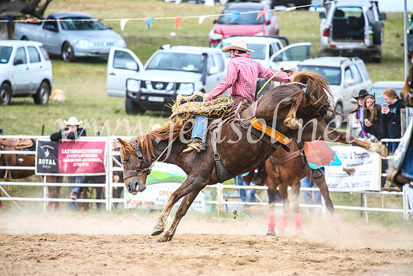 BungendoreRodeo2017_4890