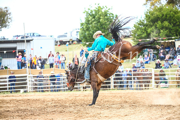 BungendoreRodeo2017_4816