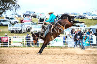 BungendoreRodeo2017_4779