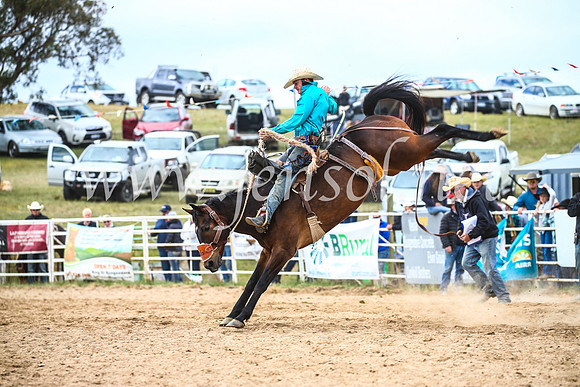 BungendoreRodeo2017_4779