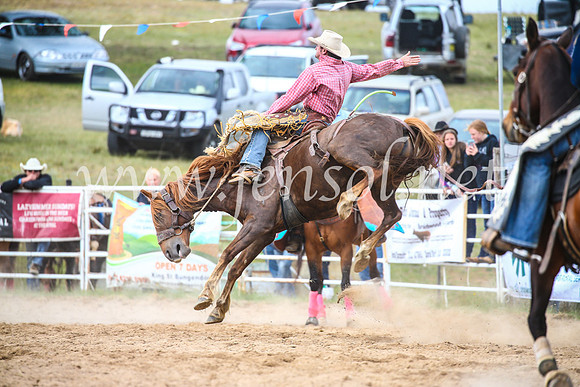 BungendoreRodeo2017_4888