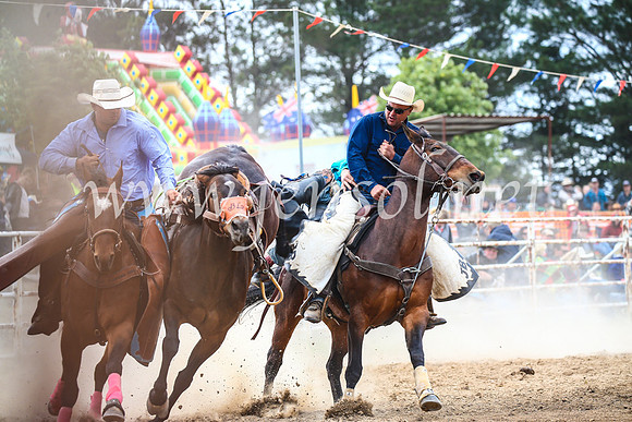 BungendoreRodeo2017_4868