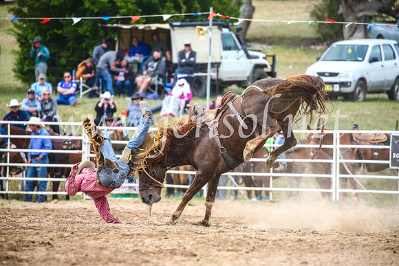 BungendoreRodeo2017_4898